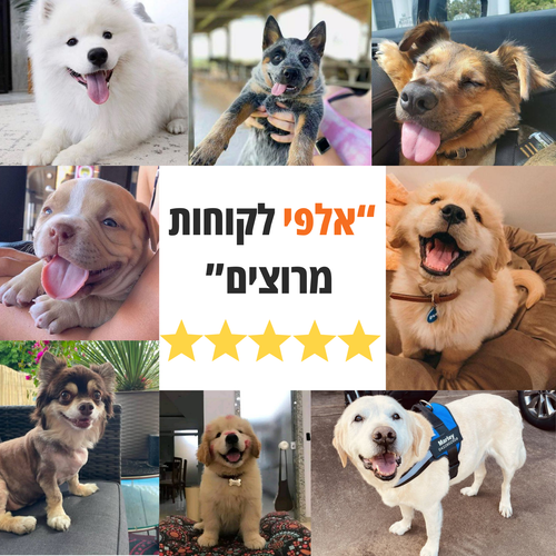 מארז הטיפוח לכלב של לומינה